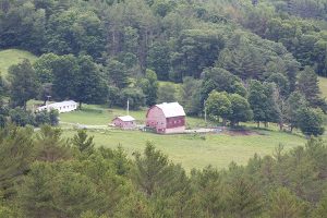 GRAND TETON GROUP - home